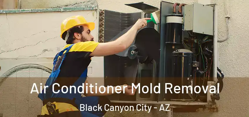  Air Conditioner Mold Removal Black Canyon City - AZ