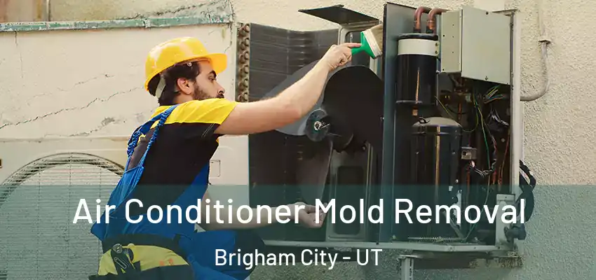  Air Conditioner Mold Removal Brigham City - UT