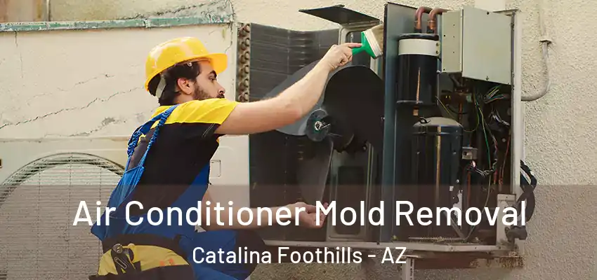  Air Conditioner Mold Removal Catalina Foothills - AZ