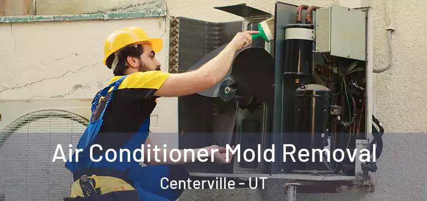  Air Conditioner Mold Removal Centerville - UT