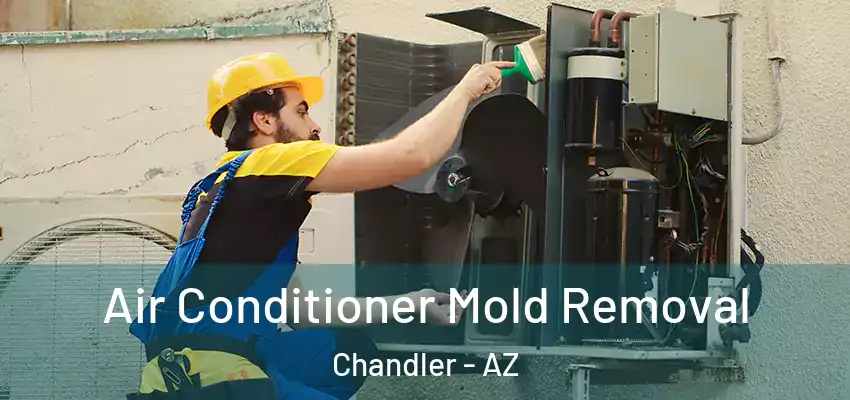  Air Conditioner Mold Removal Chandler - AZ
