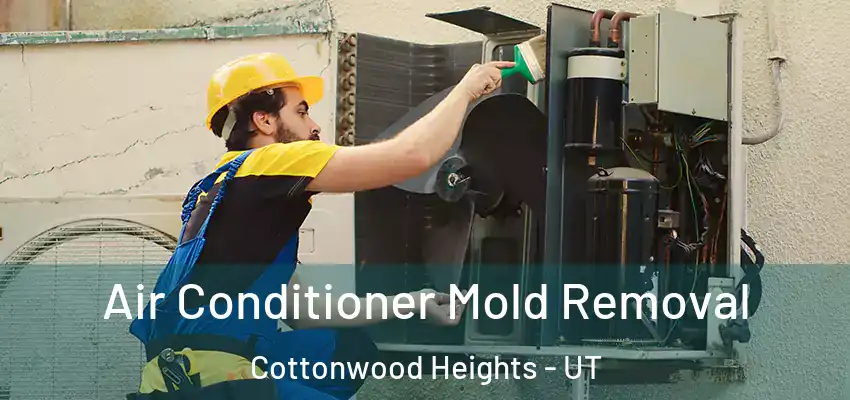  Air Conditioner Mold Removal Cottonwood Heights - UT
