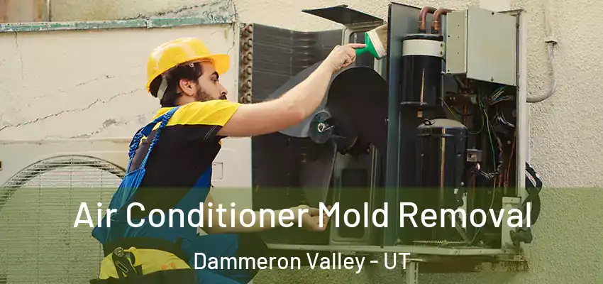  Air Conditioner Mold Removal Dammeron Valley - UT
