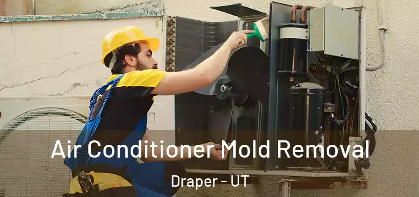  Air Conditioner Mold Removal Draper - UT
