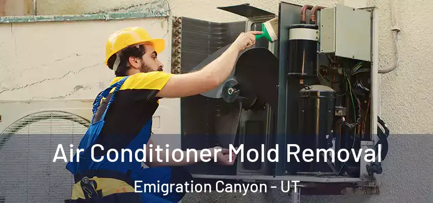  Air Conditioner Mold Removal Emigration Canyon - UT