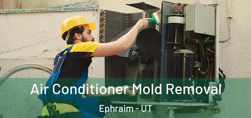  Air Conditioner Mold Removal Ephraim - UT