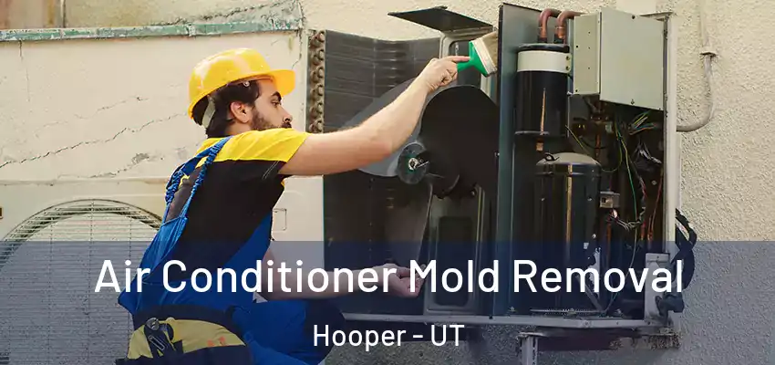  Air Conditioner Mold Removal Hooper - UT