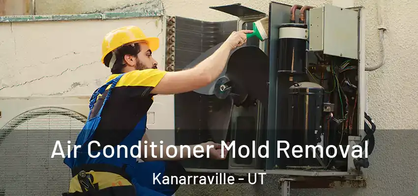  Air Conditioner Mold Removal Kanarraville - UT