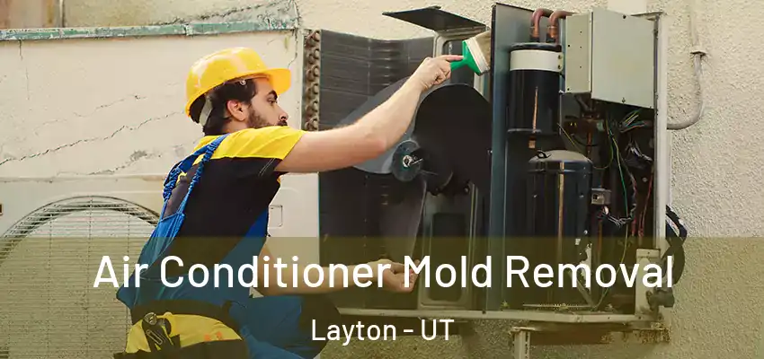  Air Conditioner Mold Removal Layton - UT