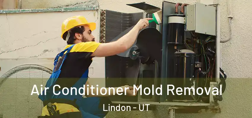  Air Conditioner Mold Removal Lindon - UT