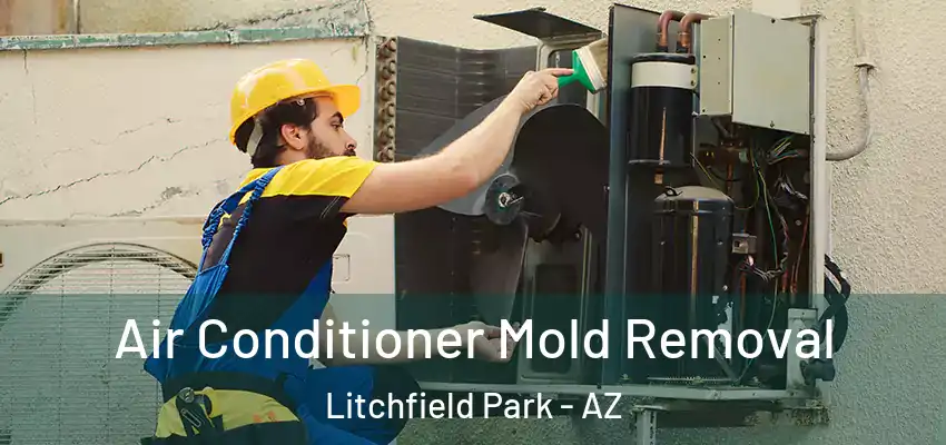  Air Conditioner Mold Removal Litchfield Park - AZ