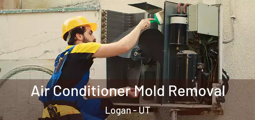  Air Conditioner Mold Removal Logan - UT
