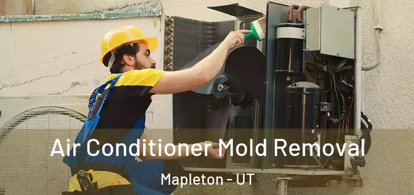 Air Conditioner Mold Removal Mapleton - UT