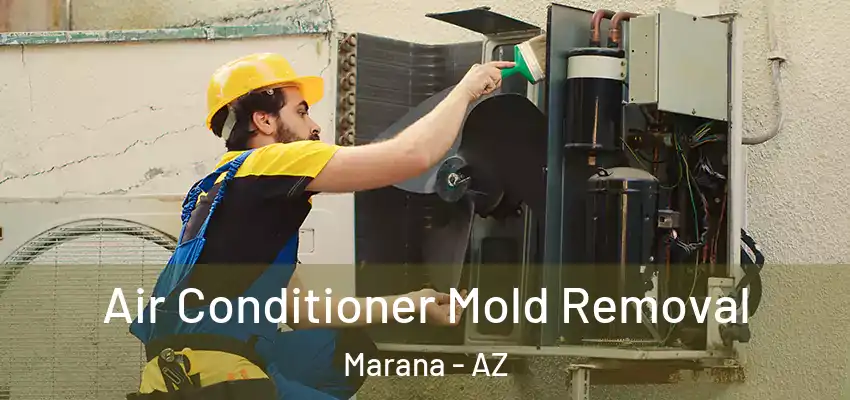  Air Conditioner Mold Removal Marana - AZ