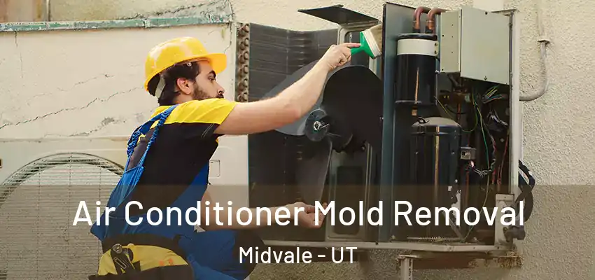  Air Conditioner Mold Removal Midvale - UT