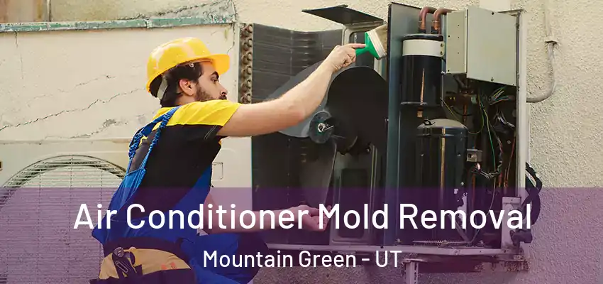  Air Conditioner Mold Removal Mountain Green - UT