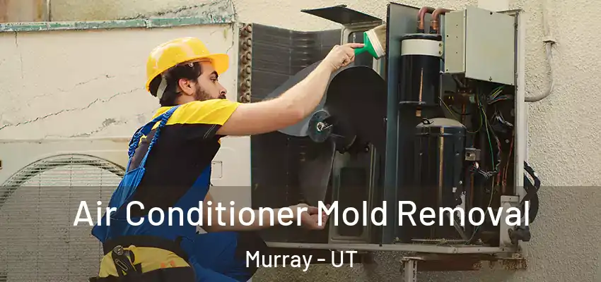  Air Conditioner Mold Removal Murray - UT