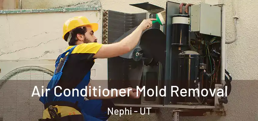  Air Conditioner Mold Removal Nephi - UT