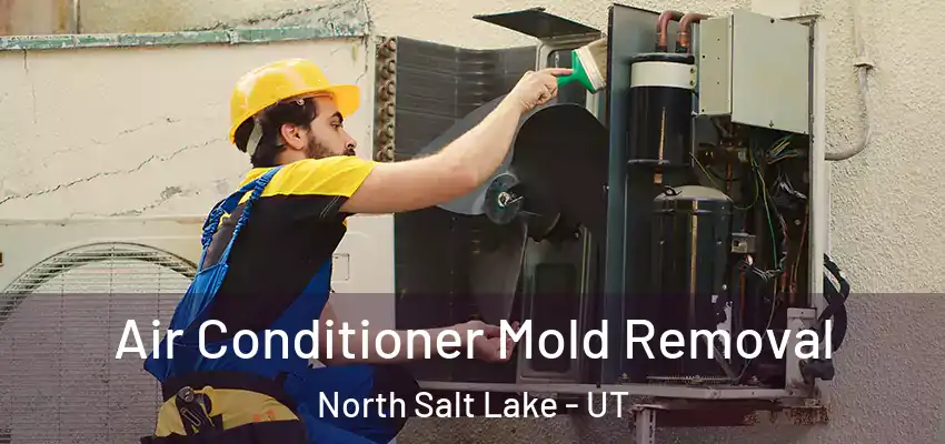 Air Conditioner Mold Removal North Salt Lake - UT