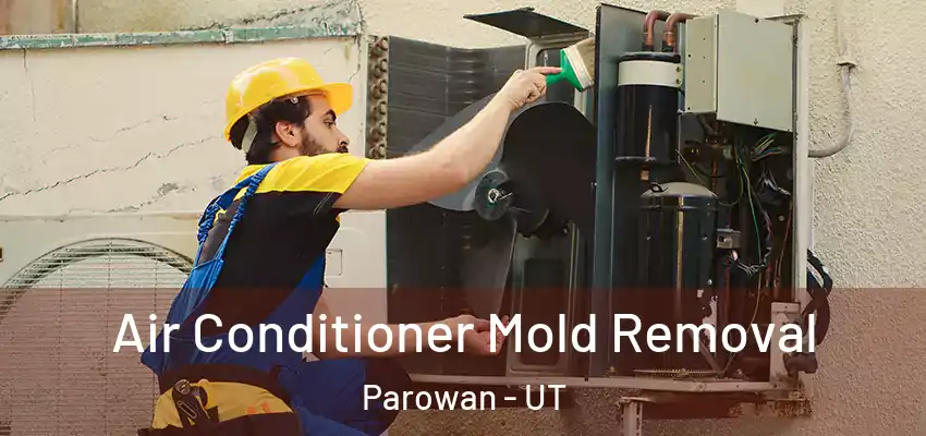 Air Conditioner Mold Removal Parowan - UT