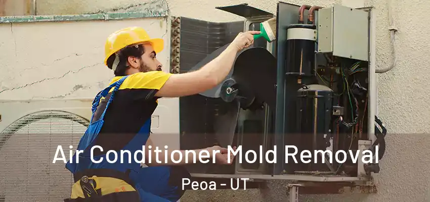 Air Conditioner Mold Removal Peoa - UT