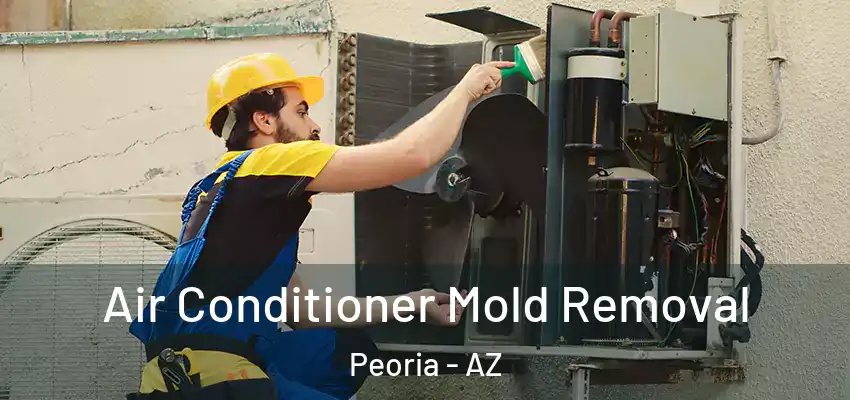  Air Conditioner Mold Removal Peoria - AZ