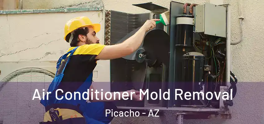  Air Conditioner Mold Removal Picacho - AZ