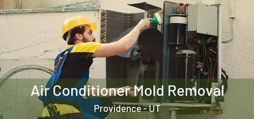  Air Conditioner Mold Removal Providence - UT