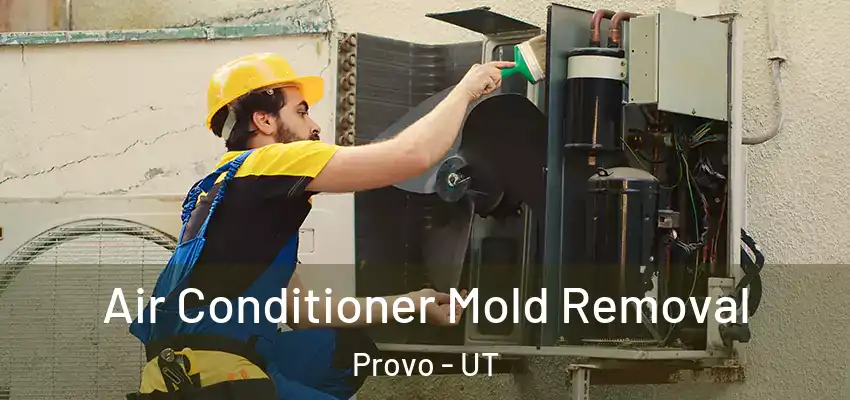 Air Conditioner Mold Removal Provo - UT