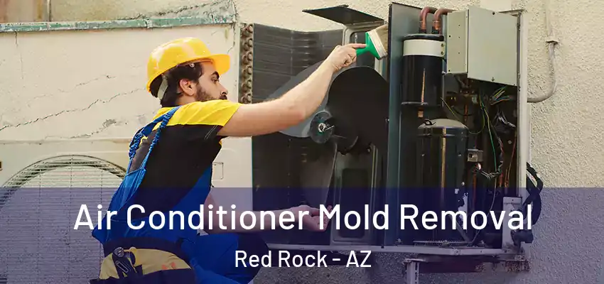 Air Conditioner Mold Removal Red Rock - AZ