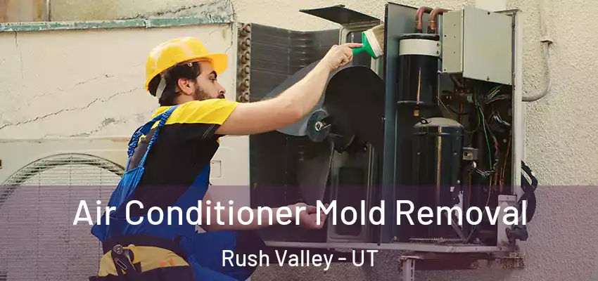  Air Conditioner Mold Removal Rush Valley - UT