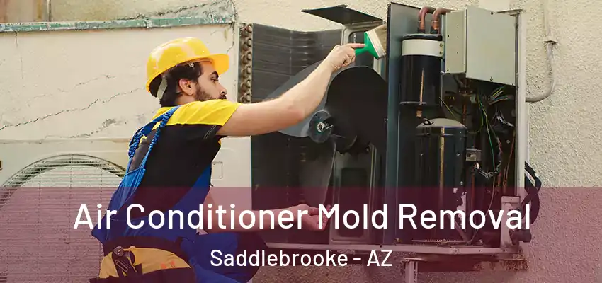 Air Conditioner Mold Removal Saddlebrooke - AZ