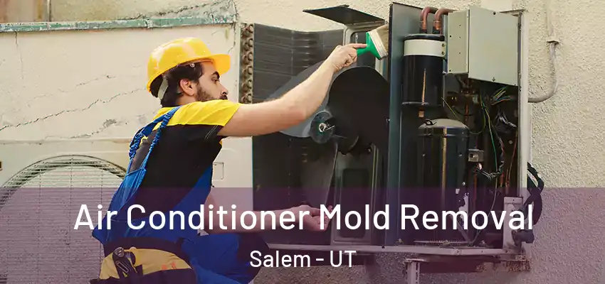  Air Conditioner Mold Removal Salem - UT