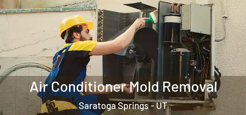 Air Conditioner Mold Removal Saratoga Springs - UT