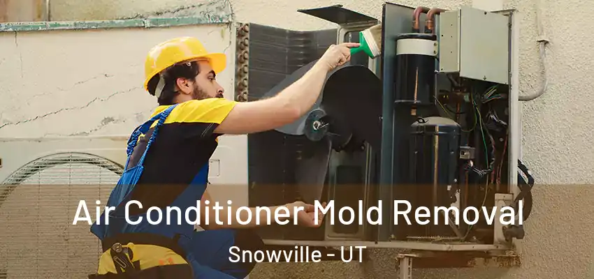  Air Conditioner Mold Removal Snowville - UT