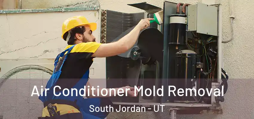 Air Conditioner Mold Removal South Jordan - UT