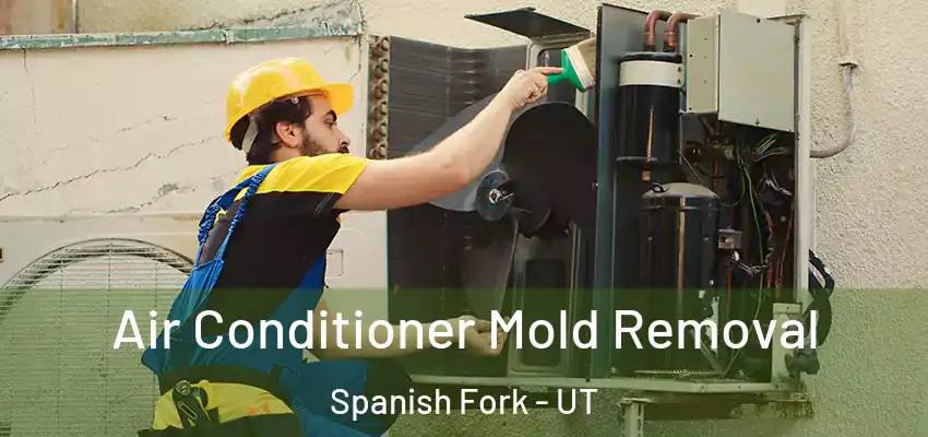  Air Conditioner Mold Removal Spanish Fork - UT