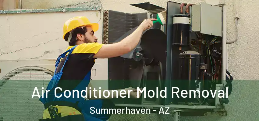 Air Conditioner Mold Removal Summerhaven - AZ