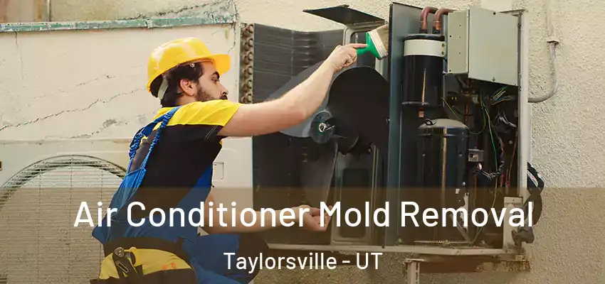  Air Conditioner Mold Removal Taylorsville - UT