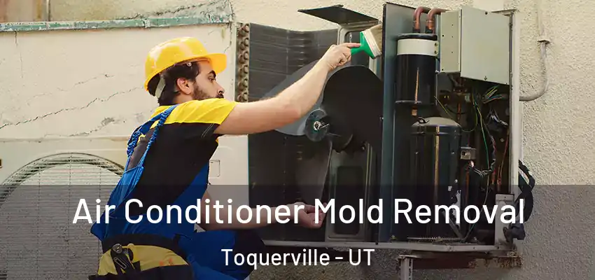  Air Conditioner Mold Removal Toquerville - UT