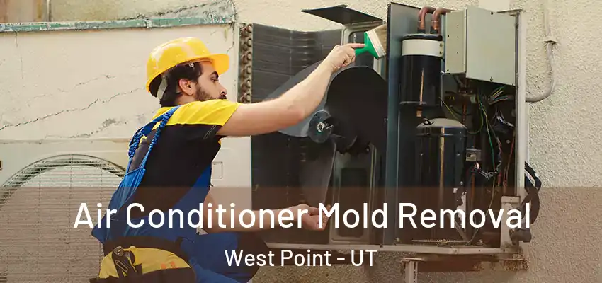  Air Conditioner Mold Removal West Point - UT