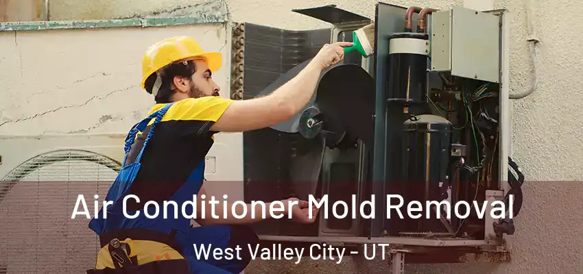  Air Conditioner Mold Removal West Valley City - UT