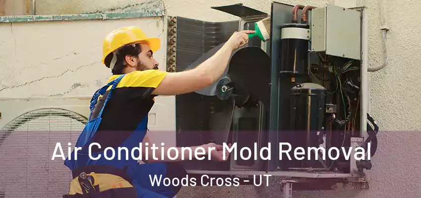 Air Conditioner Mold Removal Woods Cross - UT