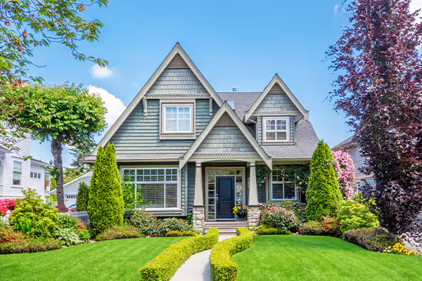 Black Mold Clean Up in Ogden, UT