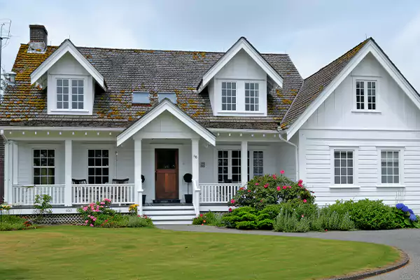 Mold Removal Services in Ogden, UT