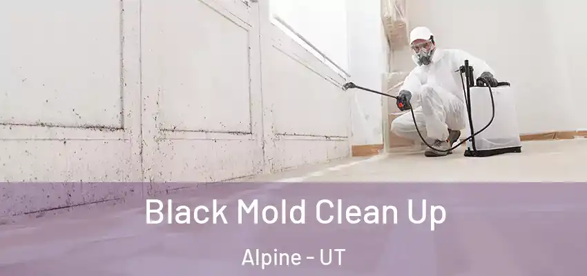  Black Mold Clean Up Alpine - UT