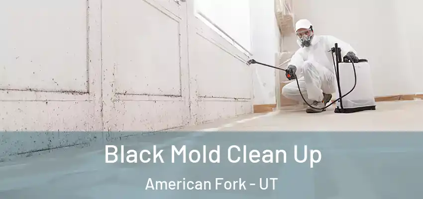  Black Mold Clean Up American Fork - UT