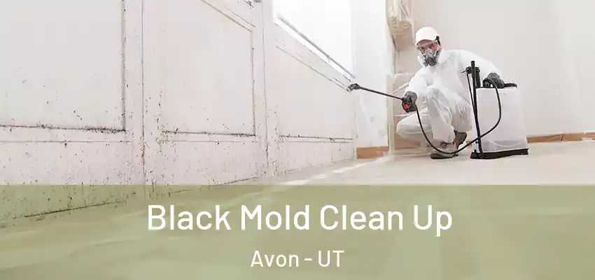  Black Mold Clean Up Avon - UT