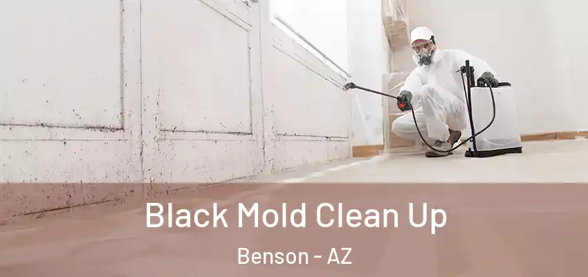  Black Mold Clean Up Benson - AZ