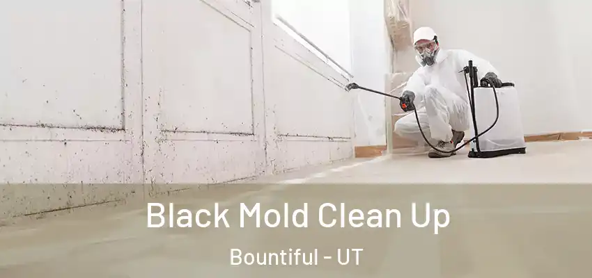  Black Mold Clean Up Bountiful - UT